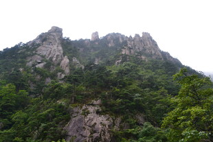 巍峨青山绿意浓