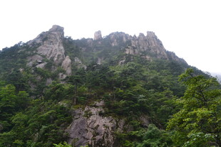 峻峭山峰覆满茂密植被