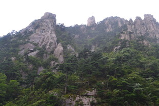 巍峨青山绿意浓