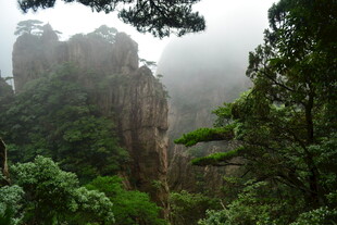 云雾缭绕的壮美山间景色