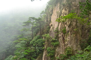 云雾缭绕的山林峭壁