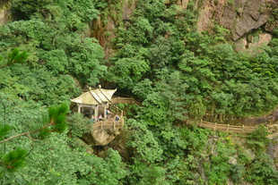 悬崖绿植间的小屋