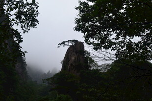 云雾缭绕中的山林奇峰