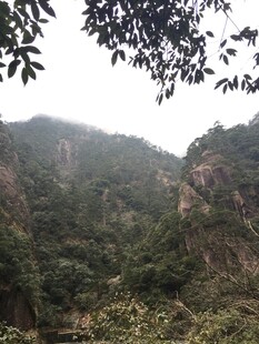 山林葱郁的自然景致