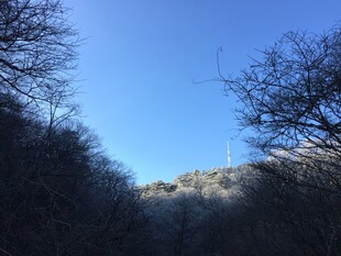 山间蓝天与光秃树木景观