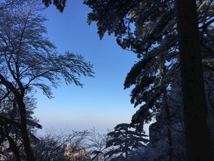 雪覆山林蓝天景
