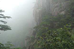 雾中峻峭山峰与葱郁植被