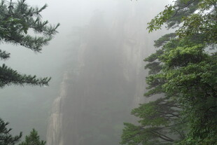 雾中峻岭与葱郁林木