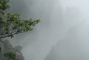 云雾缭绕的山间绿意