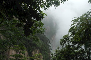 山间云雾缭绕的绿意景致