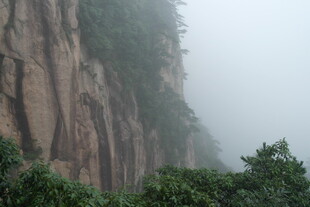 雾中峻峭山壁与绿植