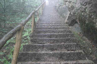 雾中蜿蜒的山林石阶