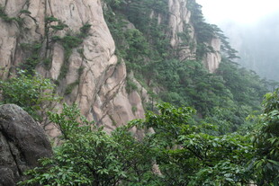 峻峭山峰伴葱郁植被