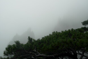 云雾缭绕中的山林景象