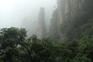 雾中峻峭山峰与葱郁树木