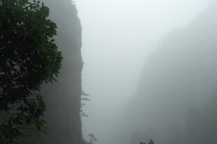 雾中峻岭 隐现葱郁绿意