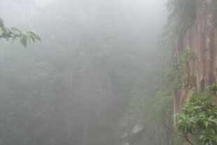 雾中峭壁 绿意盎然