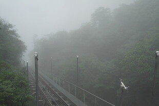雾中栈道 静谧山林景致