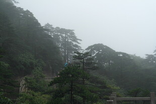 山间云雾缭绕的葱郁景致