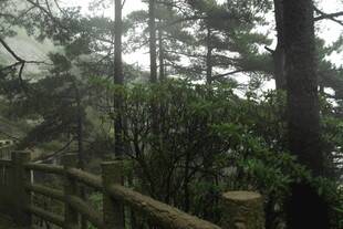 山林间的木质围栏景观