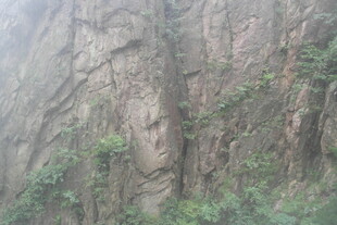 雾中嶙峋山石与绿植