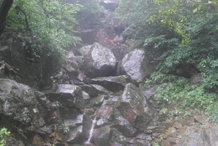 山间嶙峋石径 绿意环绕