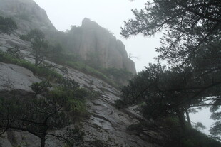 山间云雾缭绕的岩石与树木