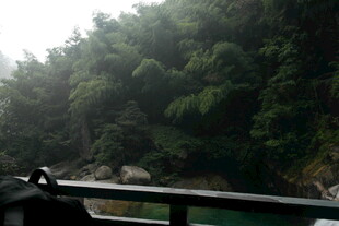 乘船赏山林绿意美景