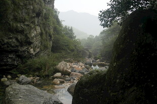 山间溪流 云雾缭绕之景