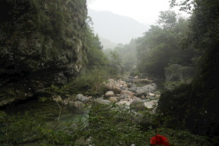 山间峡谷景色 绿意盎然