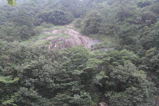 俯瞰葱郁山林间蜿蜒小径