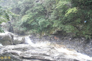 山间湍急溪流与繁茂植被