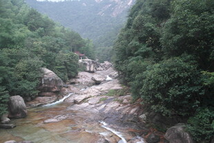 山间溪流 绿意盎然的景致