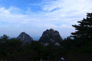 秀丽山峦与葱郁林木景观