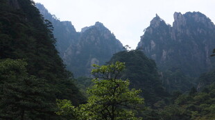 壮丽山景 绿意盎然的峰林