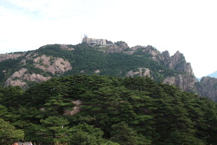 巍峨青山绿意浓