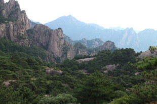 壮丽山景 绿意盎然的峰峦