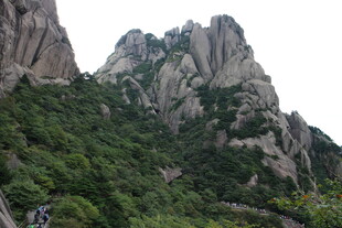 峻峭山峰覆绿植