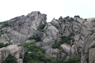 嶙峋怪石与山间绿植