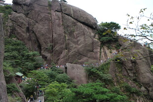 巍峨山石旁的葱郁绿植