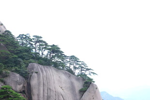 陡峭山峰上的翠绿松树