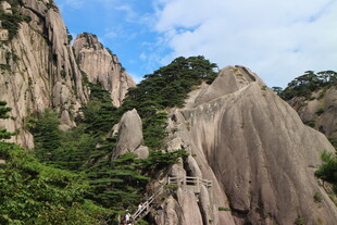 壮丽山景 奇峰与绿植相映