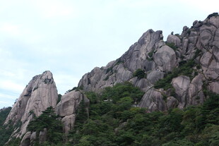 峻峭山峰与葱郁植被景观