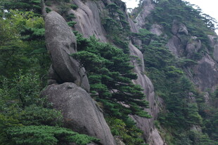 峻峭山峰与葱郁植被