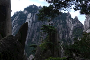 巍峨黄山奇峰与苍松