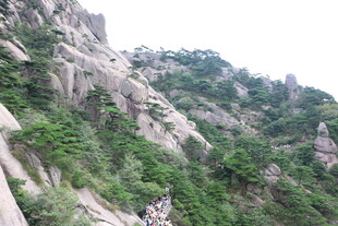 峻峭山峦覆绿植