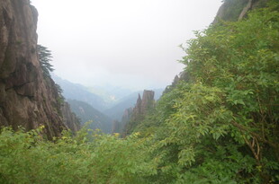 山间绿意盎然的壮丽景色