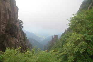 山间绿意盎然的壮丽峡谷