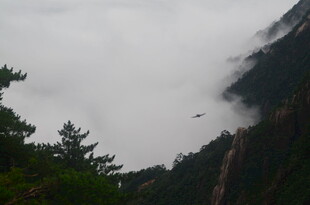 云雾缭绕的山间景致