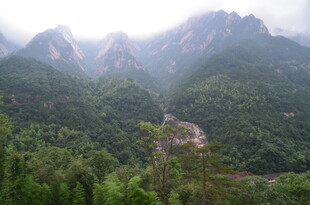 山间绿意盎然的秀丽景致